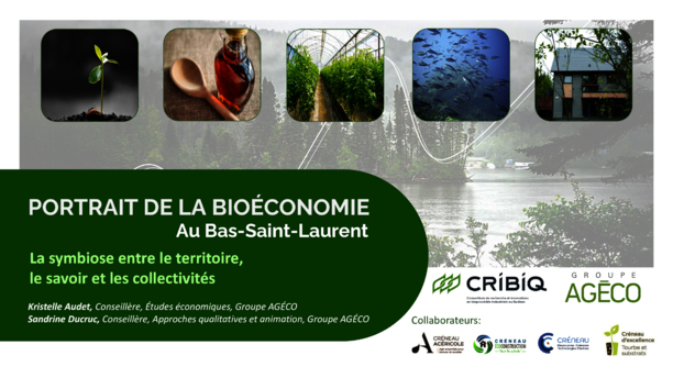Portrait de la bioéconomie au Bas-Saint-Laurent : La symbiose entre le territoire, le savoir et les collectivités